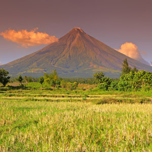 albay